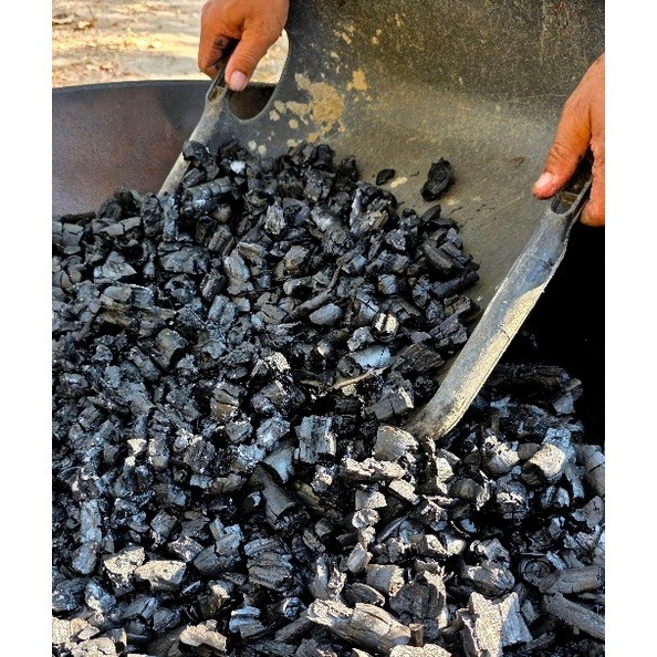 Biochar de Alta Eficiencia