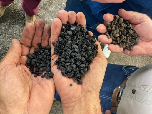 Biochar y Regeneración de Suelos